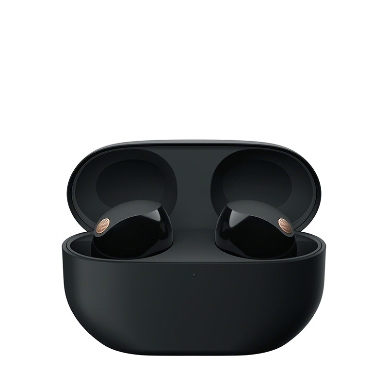 WF-1000XM5 Wireless Noise Cancelling Headphones